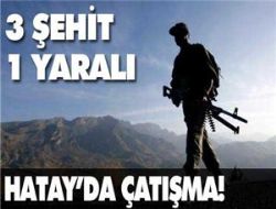 Yine yüreğimiz dağlandı